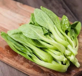 鸡毛菜